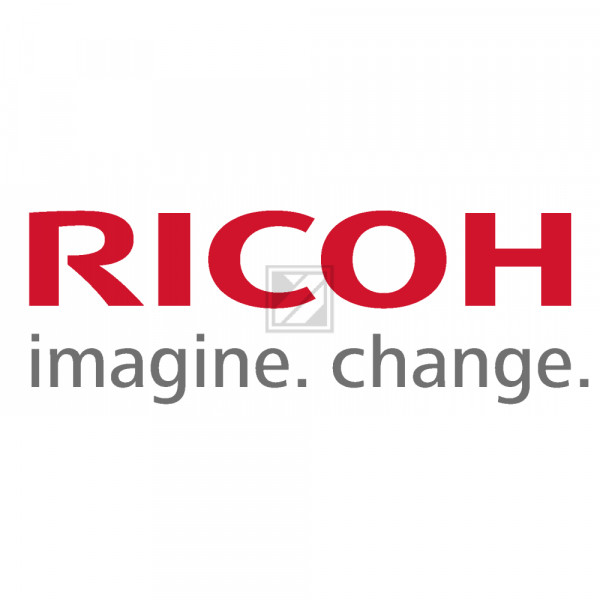 Ricoh Tintenpatrone (Garment Sublimation) schwarz HC (342602, Type 1)