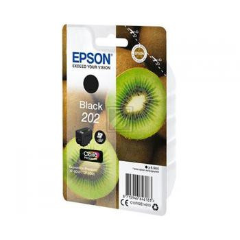 Epson Tintenpatrone schwarz (C13T02E14010, 202)