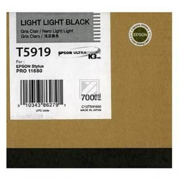 Epson Tintenpatrone Ultra Chrome schwarz light, light (C13T591900, T5919)