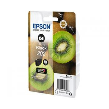 Epson Tintenpatrone schwarz photo (C13T02F14020, 202)