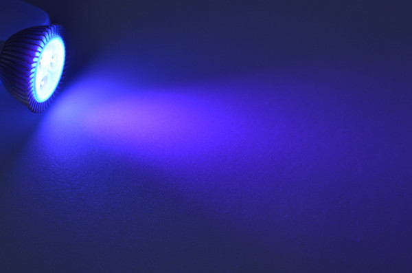 GU10 LED-Spot PAR16 AC 68 Lumen 30° ultraviolett 4,5W Green-Power-LED