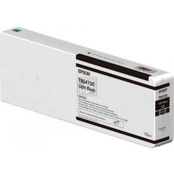 Epson Tintenpatrone schwarz light (C13T804700, T8047)