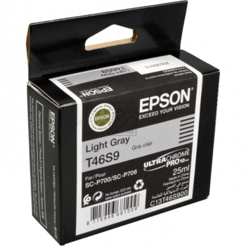 Epson Tintenpatrone grau light (C13T46S900, T46S9)